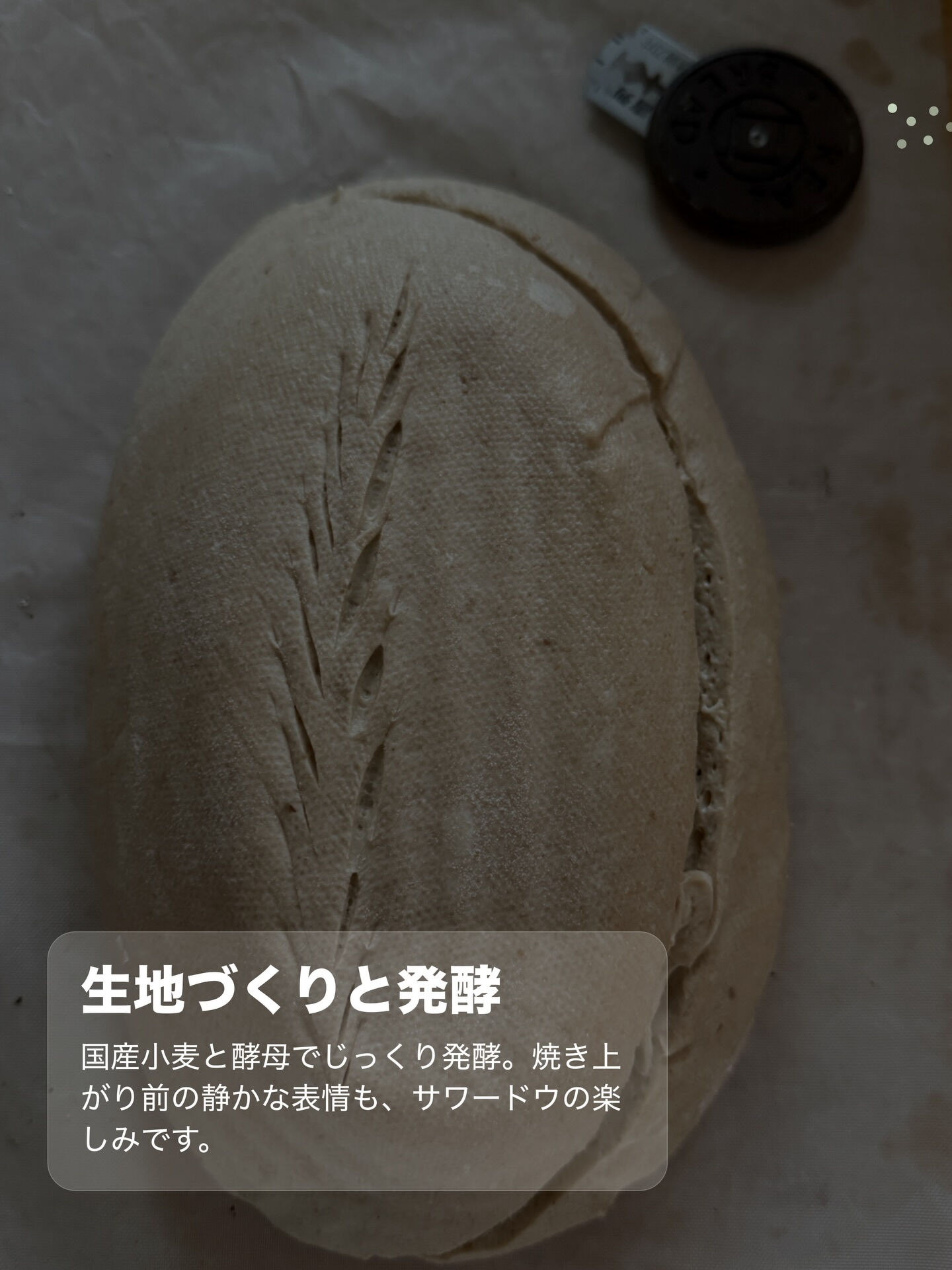 🌿 MaWaRa 7月からのお知らせ 🌿