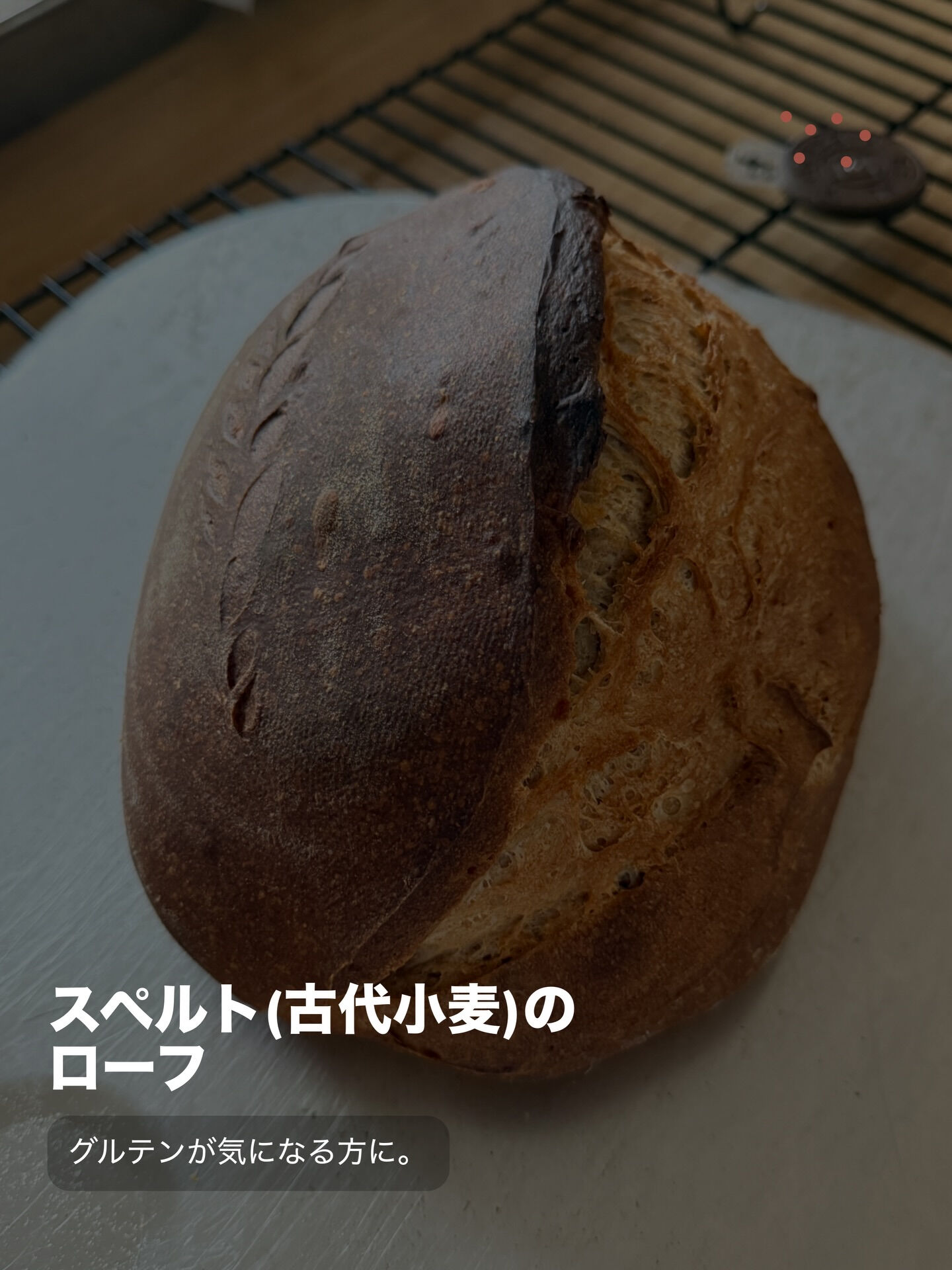 🌿 MaWaRa 7月からのお知らせ 🌿