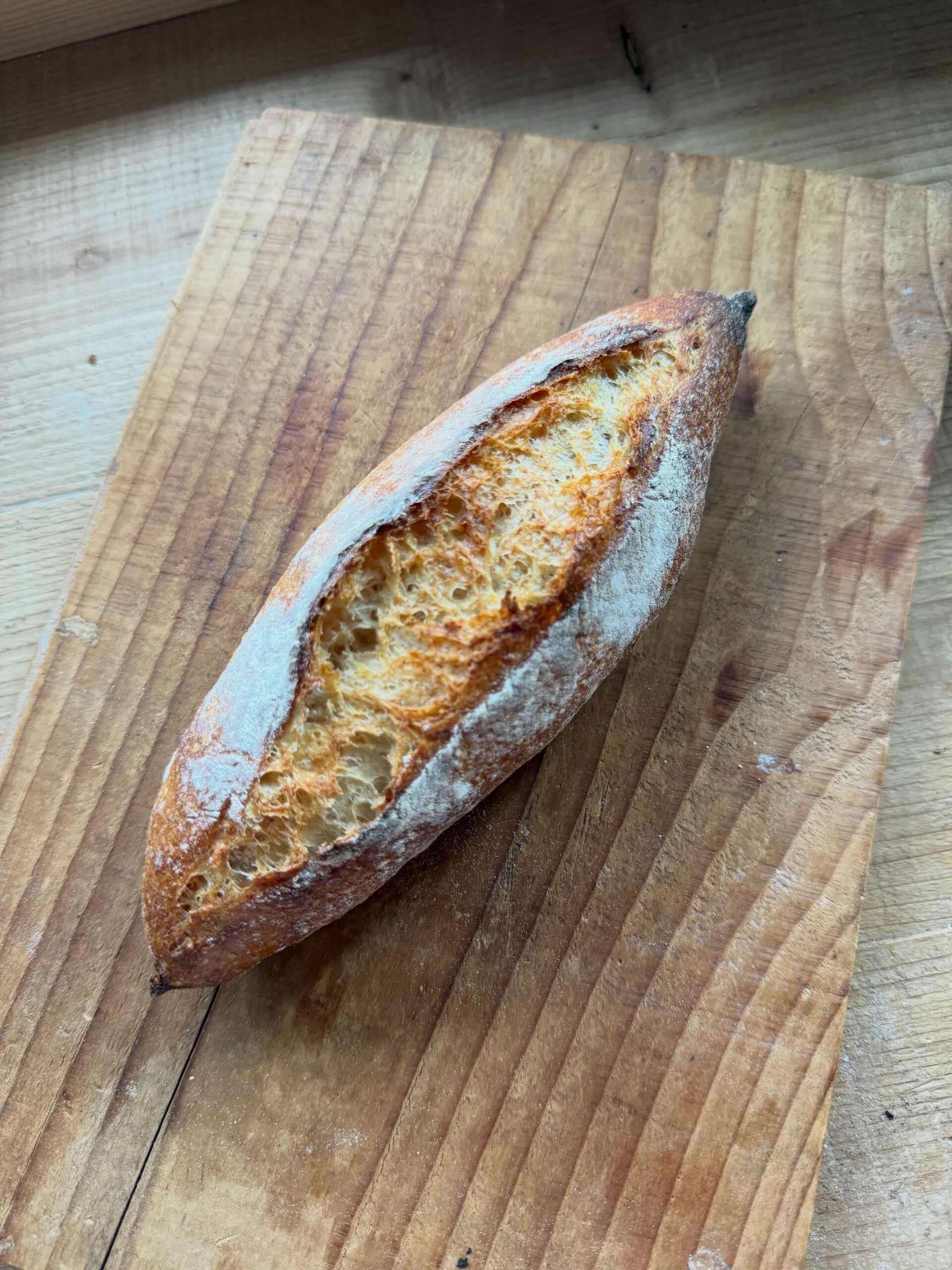 🥖 新作｜サワードウ バゲット𝘗𝘢𝘪𝘯 𝘢𝘶 𝘓𝘦𝘷𝘢𝘪𝘯 